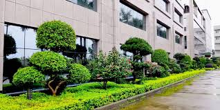 贝博中国 余姚园建园林绿化工程有限公司